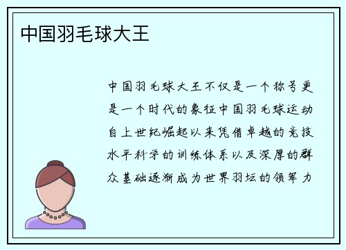 中国羽毛球大王